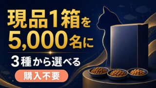 銀のスプーン三ツ星グルメ現品1箱が購入不要で合計5000名に当たる企画